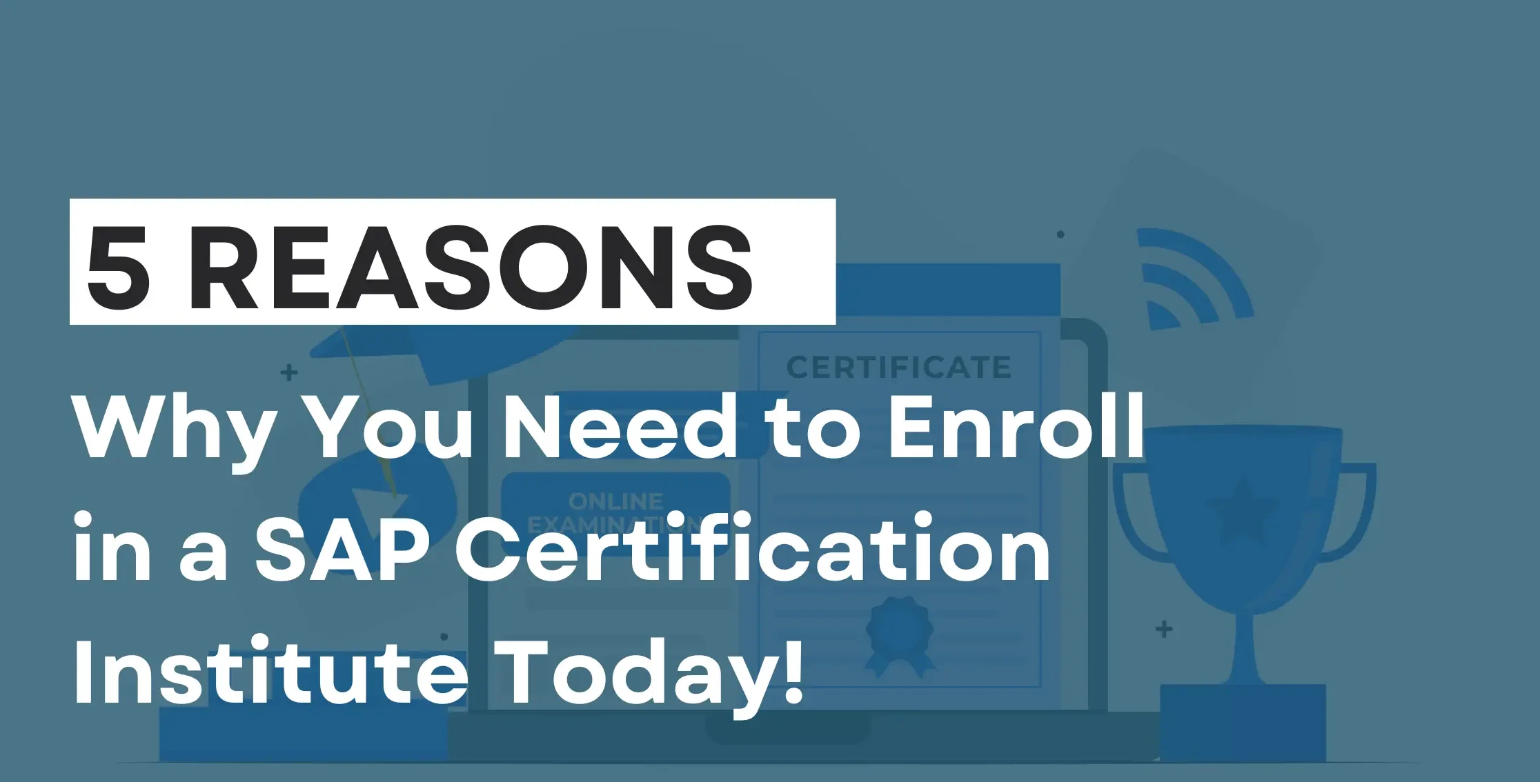 5 Reasons Why You Need to Enroll in a SAP Certification Institute Today!